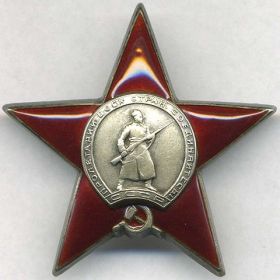 награжден в 1944 году Орденом Красной Звезды