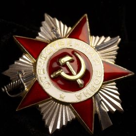 Орден «Отечественная Война» 2-й степени (Номер наградного документа 179  от 06.11.1985)