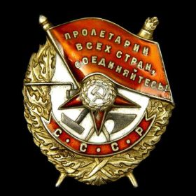 Орден «Красное знамя» (Фронтовой приказ №25/н от 12.03.1945)