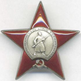 Орден Красной Звезды (фото из интернета)