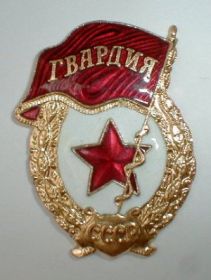 Нагрудный знак «Гвардия»