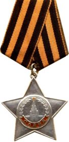 Орден Славы III степени (фото из интернета)