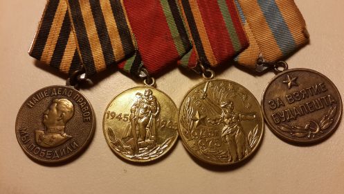 "За взятие Будапешта", "За Победу над Германией", 2 юбилейные медали