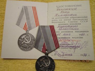 медаль Ветерана Труда