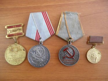 Медали  и ордена за трудовую доблесть