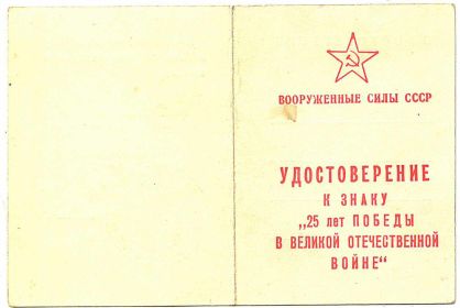 25 лет Победы