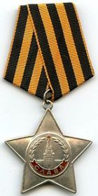 Орден Славы 3й степени