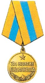 медаль за город Будапешт