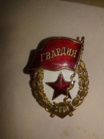 Нагрудный знак «Гвардия»