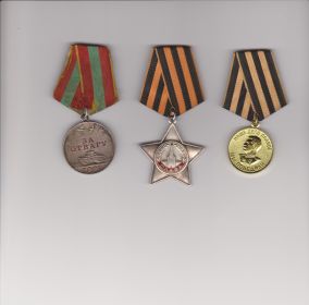 медаль "За отвагу"; орден "Славы III"; медаль "За победу над Германией"