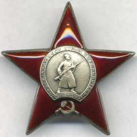 Орден Красной Звезды, 1945 г.