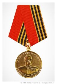медаль "Георгия Жукова"