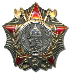 орден Александра Невского - 14.10.1943