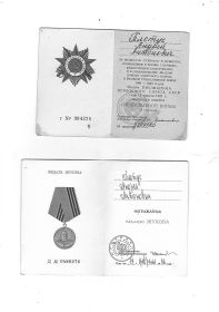 Орден "Отечественной войны II степени",Медаль Жукова