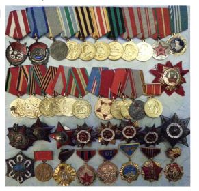 Ордена и медали Серёгина В.Г.