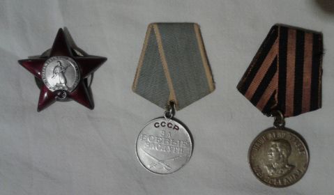 Орденом Красной Звезды, Медалью За Боевые Заслуги, Медалью За Оборону Кавказа, Медалью За Победу над Германией
