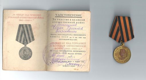 Медаль За Победу над Германией