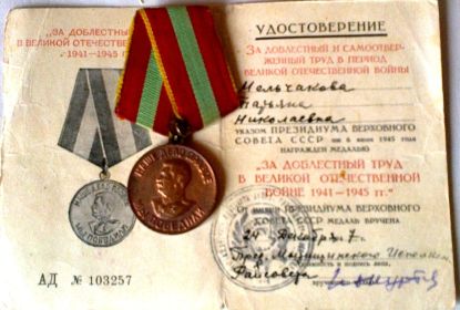 За Доблестный Труд в Великой Отечественной Войне 1941-1945гг.