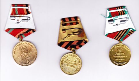 Медаль "За победу над Германией", медали участника ВОВ