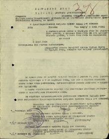 Орден Славы