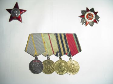 Орден Красной Звезды, Отечественной войны, медали: за боевые заслуги, за оборону Сталинграда, за победу над Германией и др.