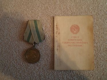 Медаль «За участие в обороне Советского Заполярья»
