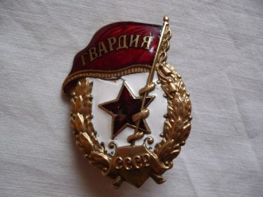 Знак Гвардия