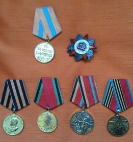 медали, которые сохранились: за взятие Будапешта 13.02.45г, за победу над Германией в Великой Отечественной войне, в честь годовщины 20,30,40 лет победы.