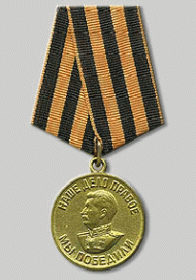 Медаль За Победу над Германией в ВОВ 1941-1945 гг.