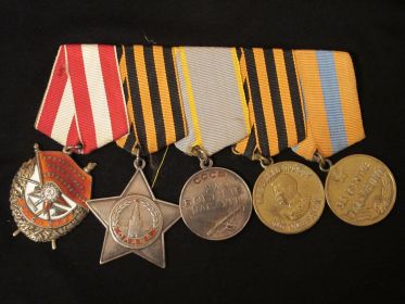 Орден Красного Знамени, Орден Славы III степени, медаль "За боевые заслуги", медаль "За победу над Германией", медаль "За взятие Будапешта"