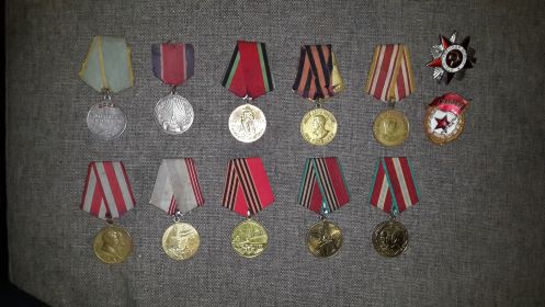 Награды моего прадедушки , но к сожалению , многие потерены