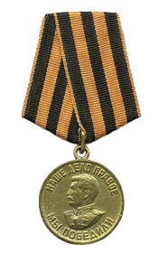 медаль За победу над Германией в ВОВ 1941-1945 гг
