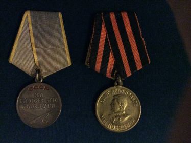 Медаль "За боевые заслуги", Медаль "За победу над Германией"
