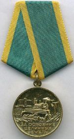 Медаль "За освоение целины"