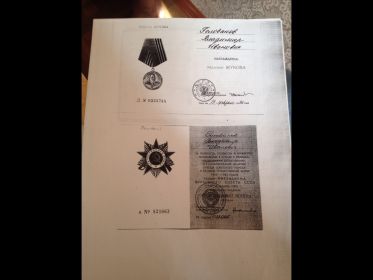 "Медаль Жукова"(вверху); "орден Великой Отечественной Войны || степени" (внизу)