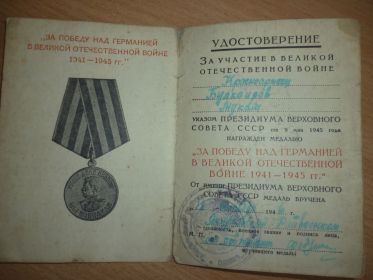 "За победу над Германией в Великой Отечественной войне 1941-1945 гг".