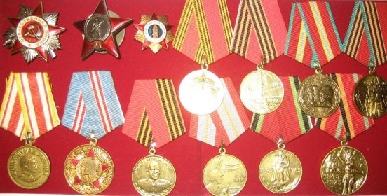 Основные награды: орден Отечественной войны II степени, орден «Красной звезды», медаль Жукова, медаль «За победу над Японией».