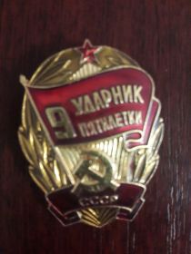 Знак Ударник 9 пятилетки СССР