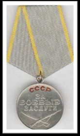 Медаль   «За боевые заслуги»
