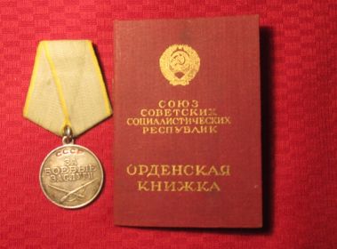 Медаль "ЗА БОЕВЫЕ ЗАСЛУГИ", №2353061