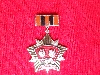 Знак «Ветеран 30-й – 10-й ГВАРДЕЙСКОЙ АРМИИ»