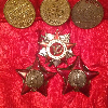 Два Ордена Красной Звезды, Орден Отечественной Войны II, медали  За взятие Будапешта, За взятие Вены, За боевые заслуги