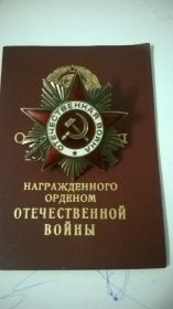 Орден отечественной войны 1 степени