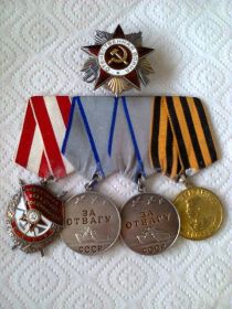 История в Орденах и Медалях
