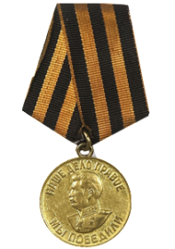 Медаль" За победу над Германией в Великой Отечественной войне "