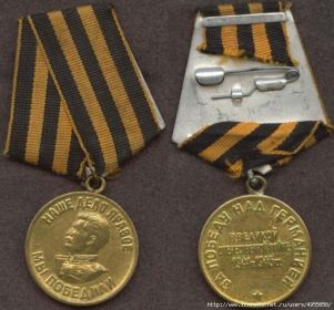 медаль "За победу над Германией в Великой Отечественной войне 1941 - 1945 гг".