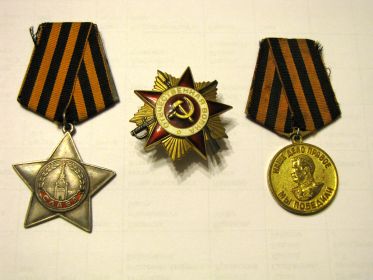 Медаль за  Победу над Германией,  Орден Славы 3 степени,  орден  Отечественной  войны 1 степени
