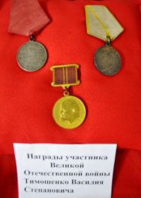 Награды, находящиеся на хранении в Новоеловском школьном музее
