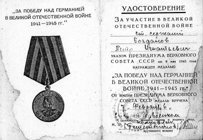 Медаль За Победу над Германией