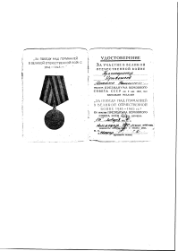 Медаль "За Победу над Германией "